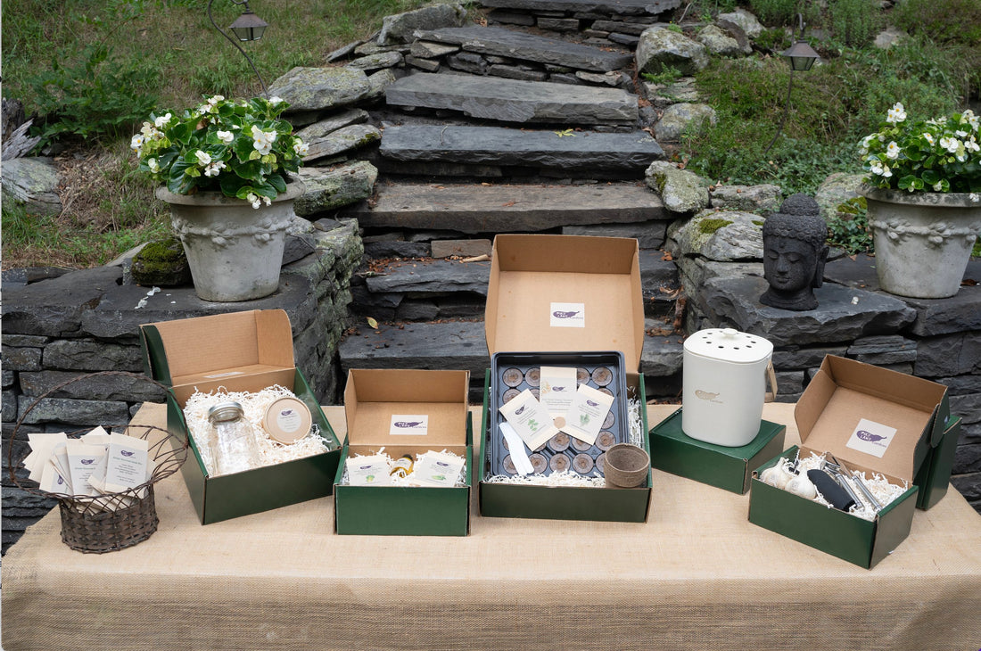 Seasonal Kits, & Pike Lane Gardens Greeting Card Set