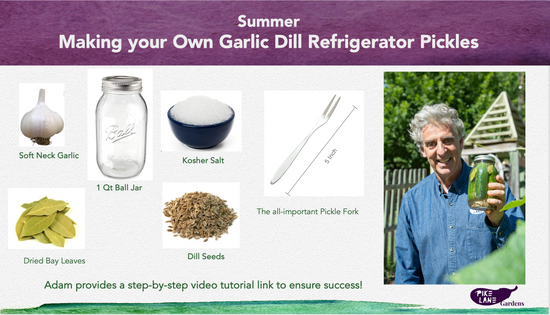 Refrigerator Pickle Kit  and Video Presentation