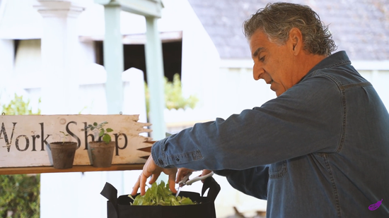 Spring/Summer Herb and Flower Kit