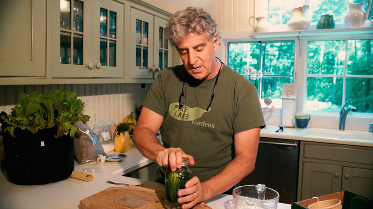 A live demonstration of making refrigerator pickles 