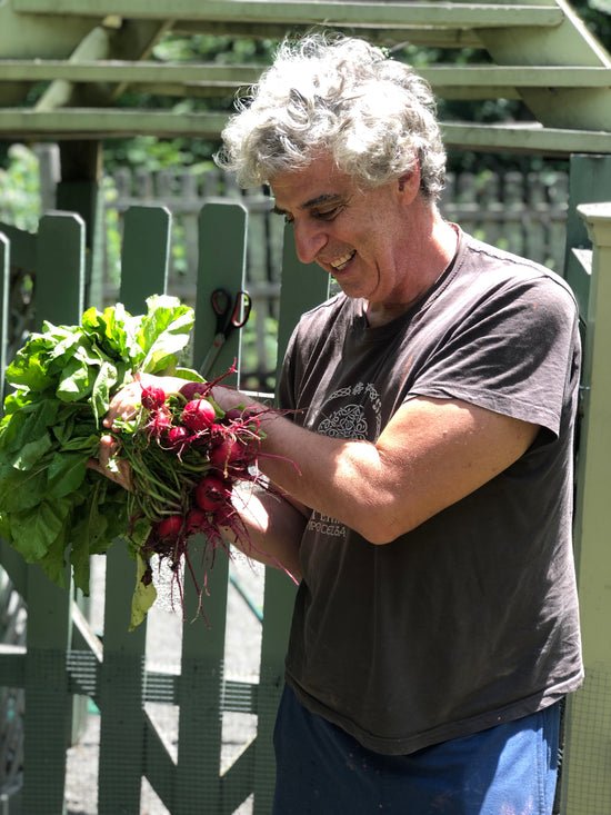 You can still put some summer vegetables into your garden.  Check out the article in the  Valley Table- Hudson Valley