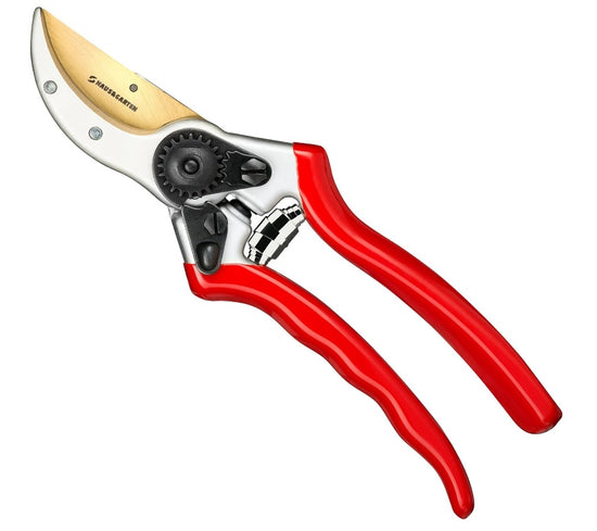 Pruner