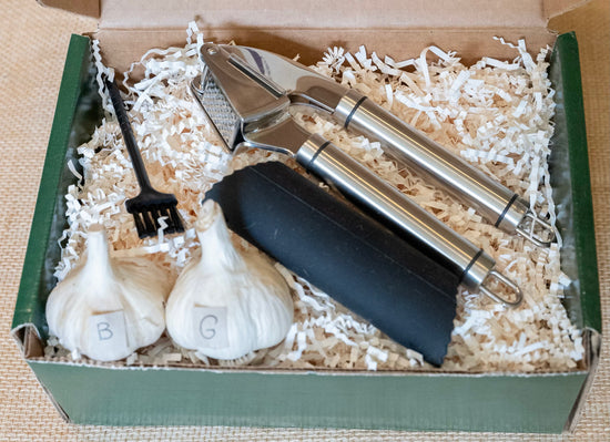 Fall Kit- Planting your own Hard neck Garlic and Video Presentation