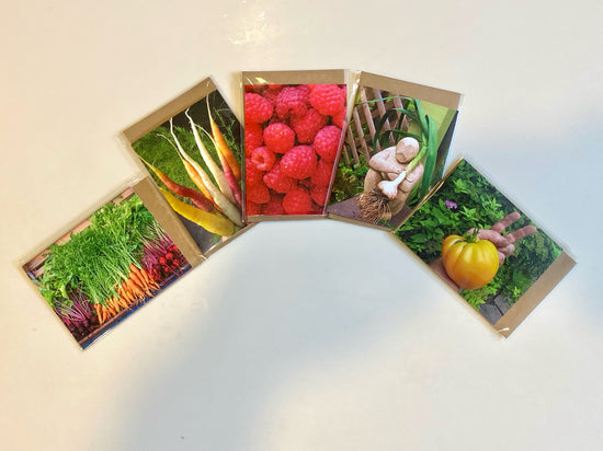 Pike Lane Gardens Greeting Card Set