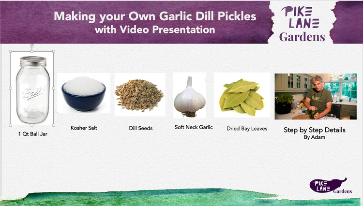 Live demonstration of making pickles