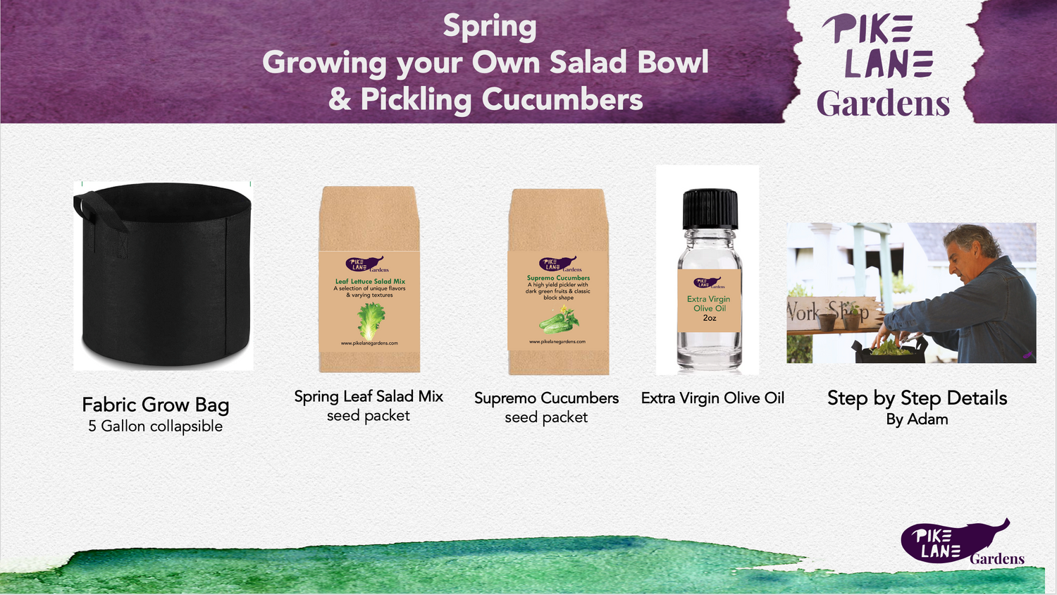 Spring Leaf Lettuce and Cucumber Kit with Video Presentation – Pike ...